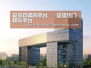 案例展示四