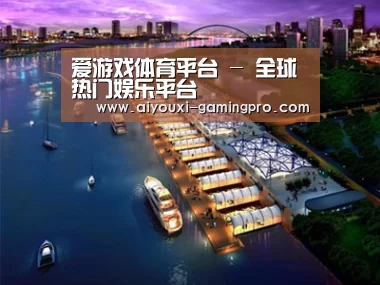 案例展示八