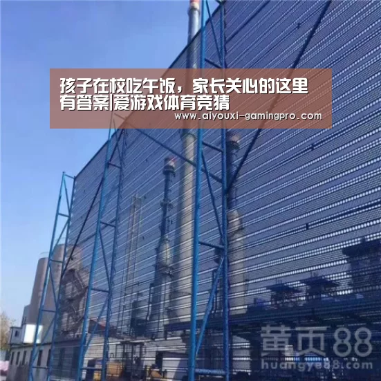 孩子在校吃午饭,家长关心的这里有答案|爱游戏体育竞猜(图1) 爱游戏娱乐平台