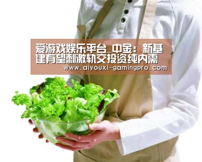 爱游戏娱乐平台_中金:新基建有望刺激轨交投资纯内需板块估值提升(图2) 爱游戏娱乐平台